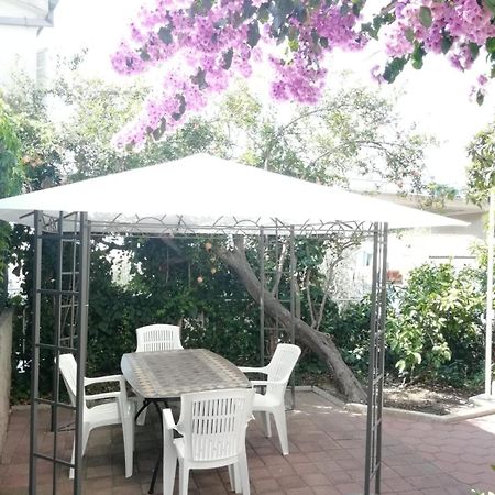 Apartmani Ivona Podgora Ngoại thất bức ảnh